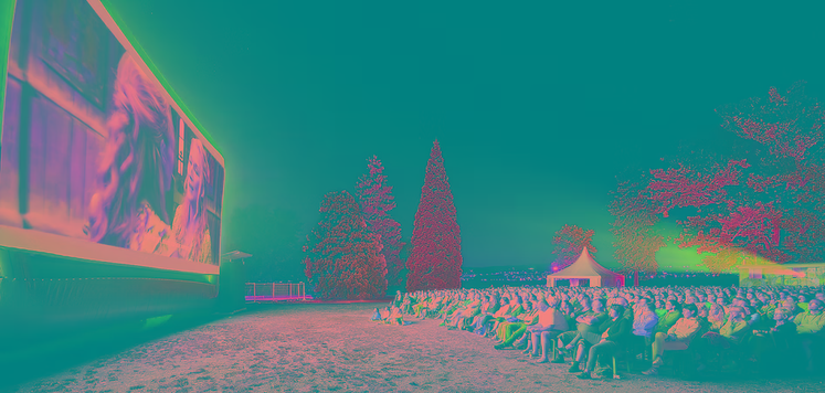 OpenAir Kino Richterswil
