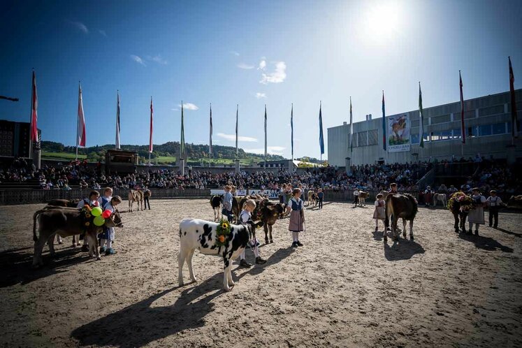OLMA 2023