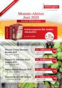 Monatsaktion Juni 2025