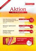 Wochenaktion vom 20. - 25. Oktober 2025