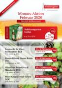 Monatsaktion Februar 2026